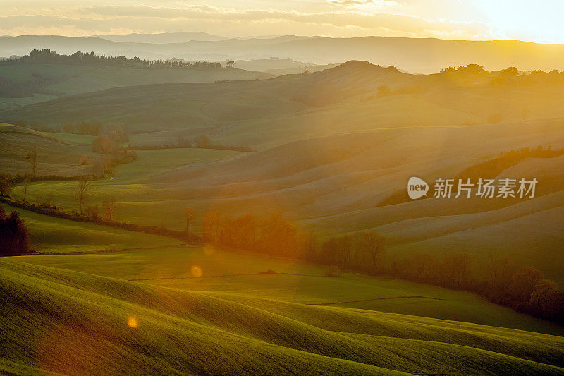 在傍晚的阳光下滚动的托斯卡纳风景，Val D'orcia，意大利